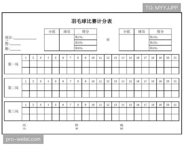 比赛用球规则：裁判检验标准与赛中替换流程