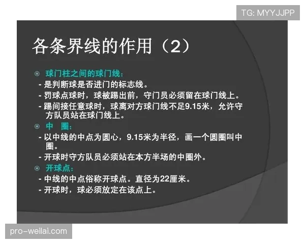 足球犯规规则详解:不同犯规种类与裁判判罚标准解析 足球犯规规则详解:不同犯规种类与裁判判罚标准解析