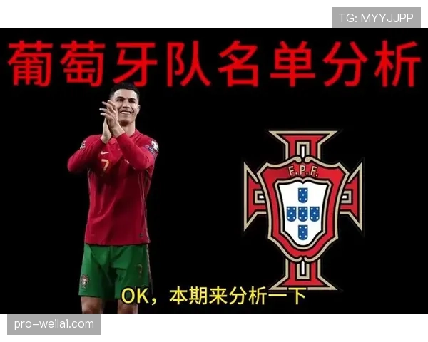 葡萄牙世界杯哪些位置最令人放心